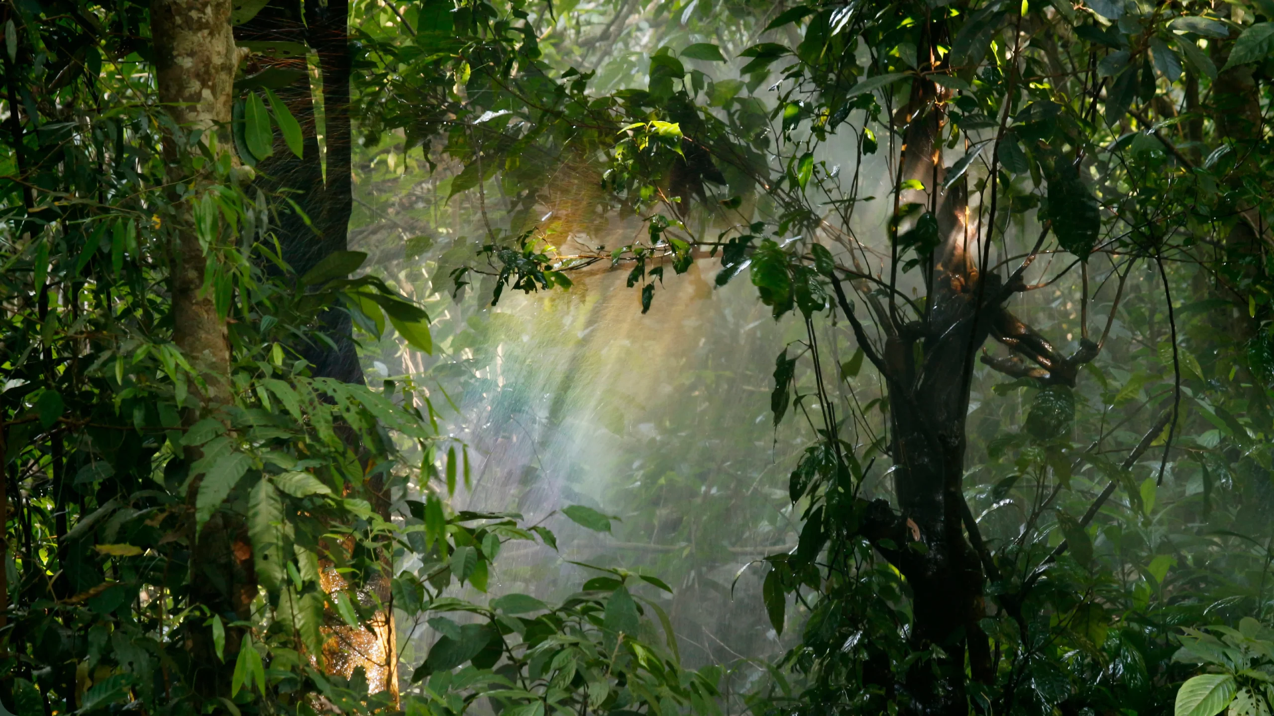 Vue by Melek doğadan ilham alan koleksiyon